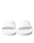 Elegant White Logo Slides