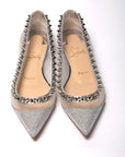 Silver Flat Point Toe Shoe