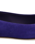 Embellished Crystal Purple Suede Flats